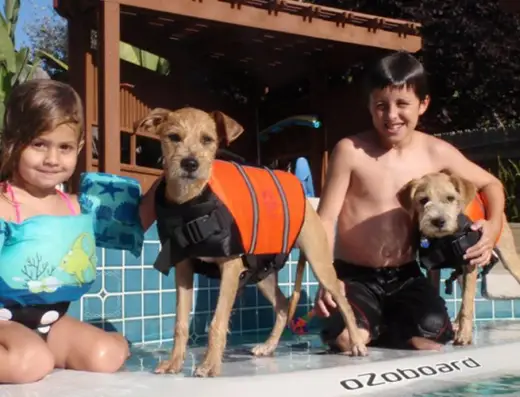 Wagging Dog Rescue