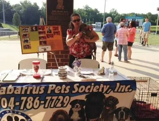 Cabarrus Pets Society