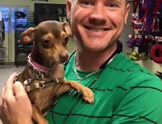 Pet Pal Animal Shelter