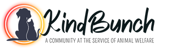 KindBunch - Community