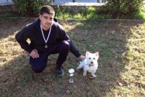 Pet Training