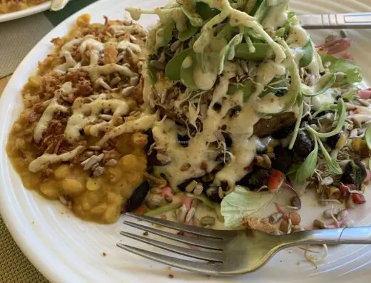 The Sunshine Food Co