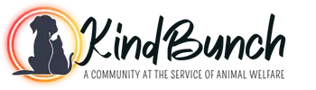 KindBunch – Support Desk