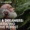 Man Spends 30 Years Turning Degraded Land into Massive Forest – Fools & Dreamers (Full Documentary)
