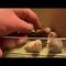 [ID: 64jTJfjHUwo] Youtube Automatic
