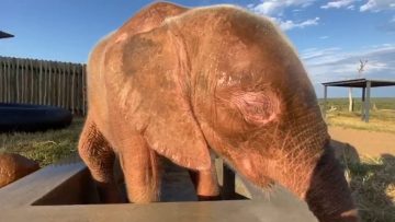 [ID: a8pNiQxsDWs] Youtube Automatic