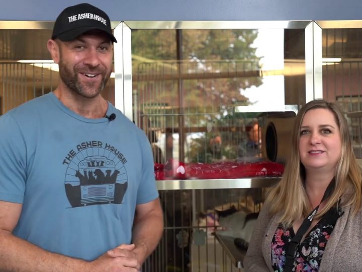 [ID: mIgkqavgp-Y] Youtube Automatic