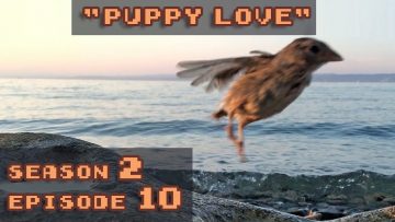 [ID: nsdyP1pMpZk] Youtube Automatic