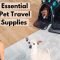 After 6 International Plane Trips With Dogs, Here are My Pet Travel Hacks!