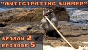 [ID: Psgvqo-iBkI] Youtube Automatic