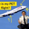 ANIMALS on PLANES? Is your PET SAFE flying in CARGO??? Explained by CAPTAIN JOE