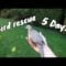 [ID: l8FGQJalnv4] Youtube Automatic