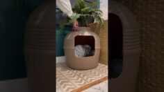 Upgrading Our Bunny Litter Box