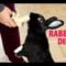 [ID: -Bre_hCCLPQ] Youtube Automatic