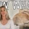 [ID: lwBkcUGx8D8] Youtube Automatic