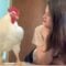Chicken raised for meat is convinced he’s a dog