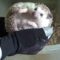 How to handle & tame your new pet hedgehog