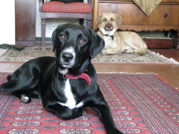 n693623063_1461834_6991